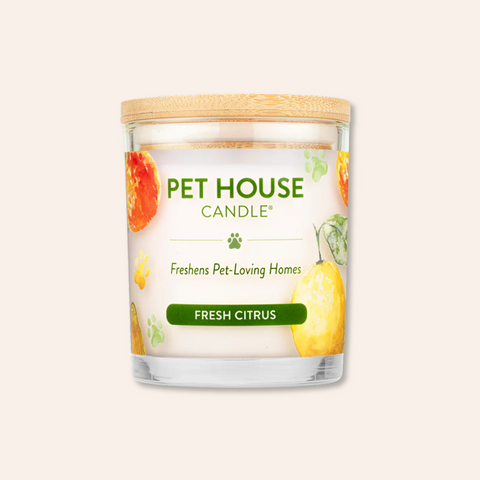 Fresh Citrus Candle | Pet Safe Candle