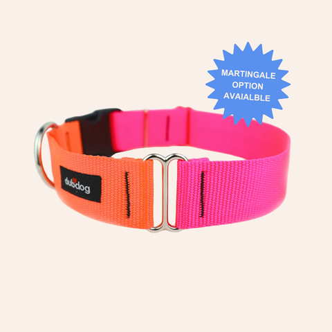 Dubdog DUO Orange & Pink Dog Collar | Quick Release Dog Collar