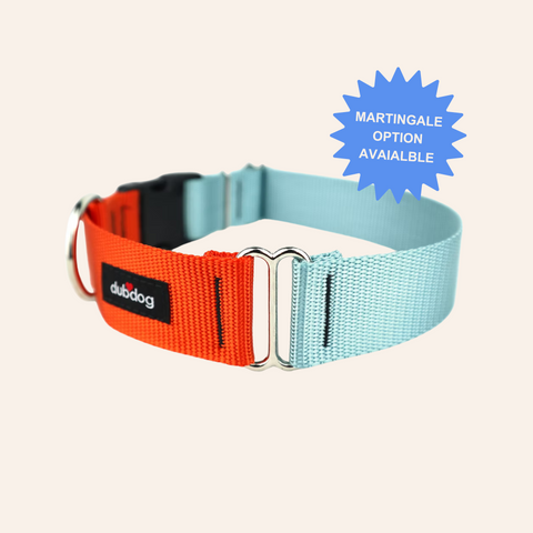 Dubdog DUO Pumpkin & Ocean Dog Collar | Quick Release Dog Collar