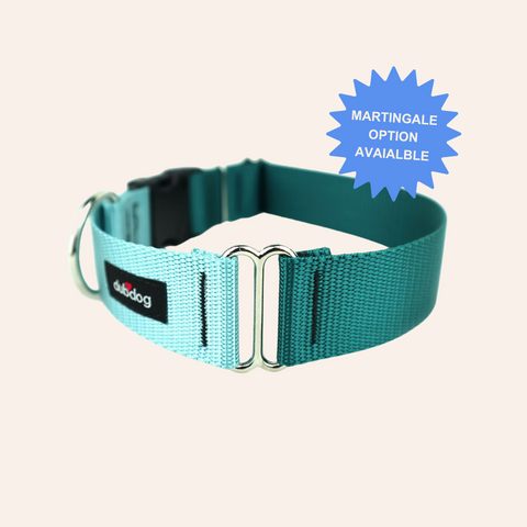 Dubdog DUO Ocean & Teal Dog Collar | Quick Release Dog Collar