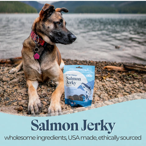 OTIS Wild Things Jerky Dog Treats | Salmon 4oz