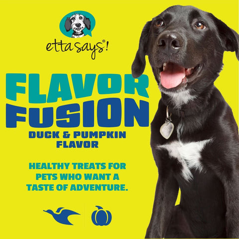 Etta Says Flavor Fusion - Duck & Pumpkin- 2oz