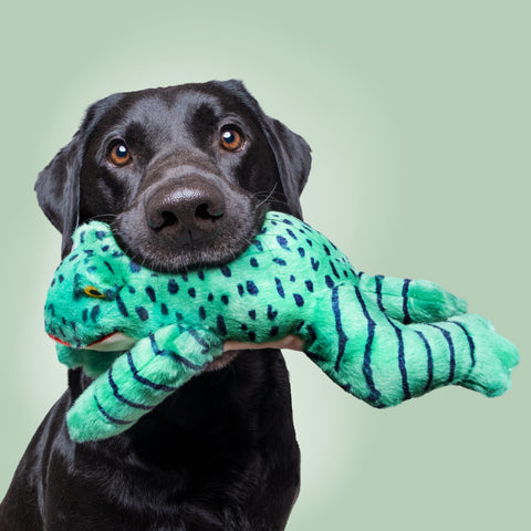 Fluff & Tuff Oliver the Frog | 2025 Color Collection