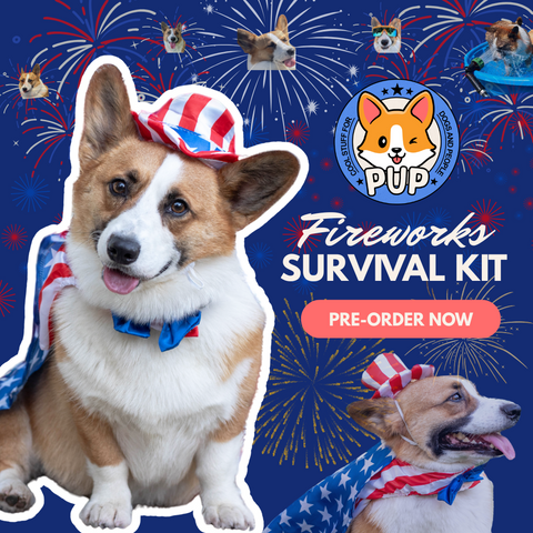 Fireworks Survival Kit for Dogs