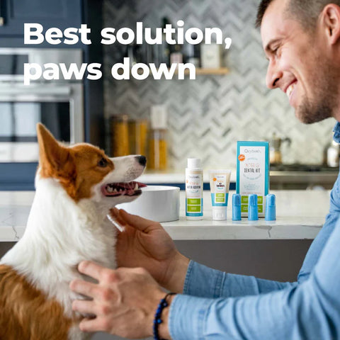 Oxyfresh Pet Dental Kit
