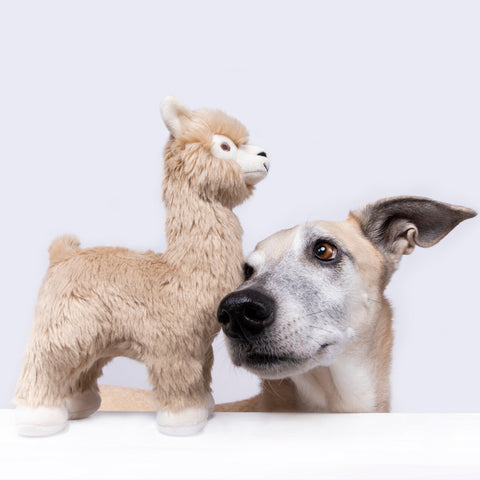 Inca Alpaca | Fluff & Tuff Dog Toy