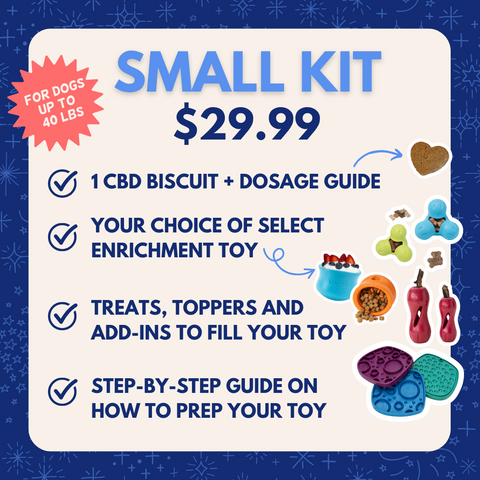 Fireworks Survival Kit for Dogs