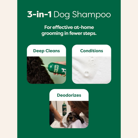 Earth Rated Curly Coat 3-in-1 Dog Shampoo