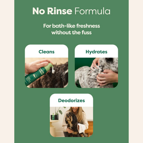 No-Rinse Dog Shampoo | Waterless Dog Shampoo