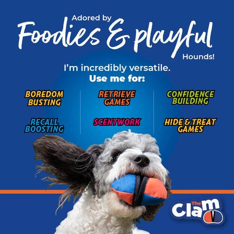 The Clam Treat Toy: Blue & Yellow