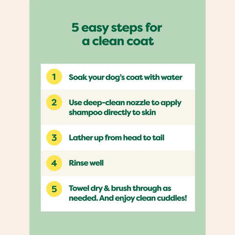 Earth Rated Curly Coat 3-in-1 Dog Shampoo
