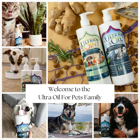 Ultra Joint Supplement for Dogs & Cats