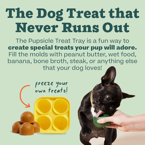 Pupsicle - DIY Treat Tray