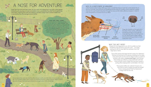 A World of Dogs: A Celebration of Fascinating Facts and Amazing Real-Life Stories for Dog Lovers