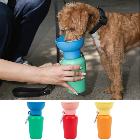 Limited Edition Springer Dog Travel Water Bottle | Flip 20 oz