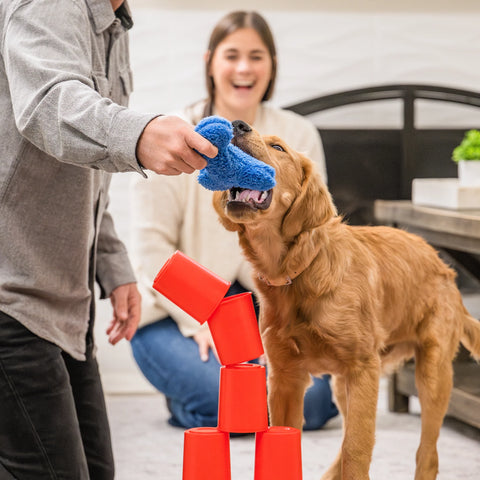 The Dog's Best Friend Game | West Paw Dog Training Game