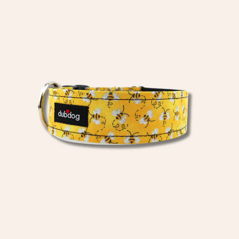Buzz Dog Collar