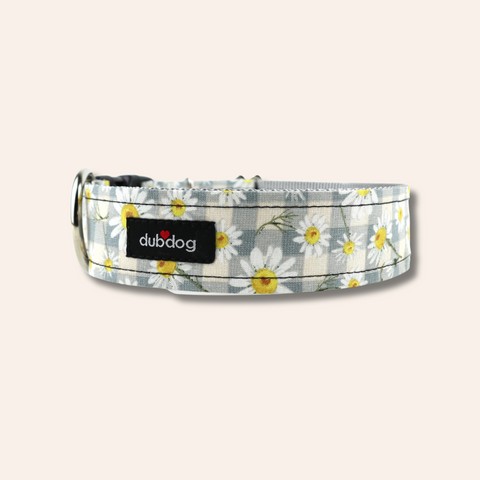 Daisy Mae Dog Collar
