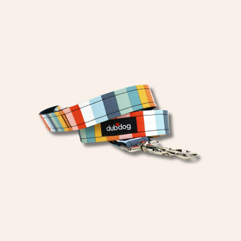 Steel Stripes Dog Leash