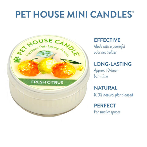 Fresh Citrus Candle | Pet Safe Candle