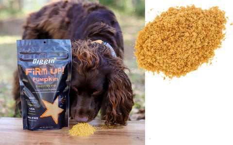 Diggin FIRM UP! Pumpkin Digestive Aid Supplement