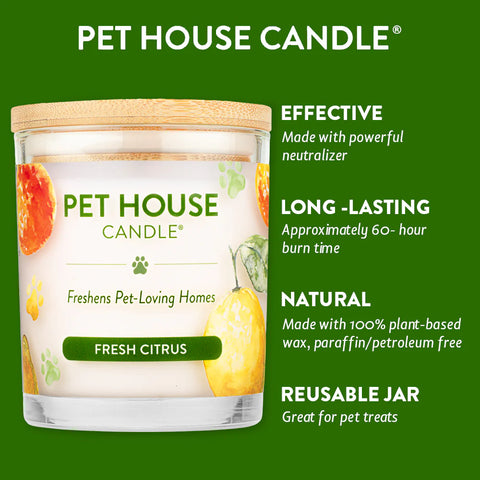 Fresh Citrus Candle | Pet Safe Candle
