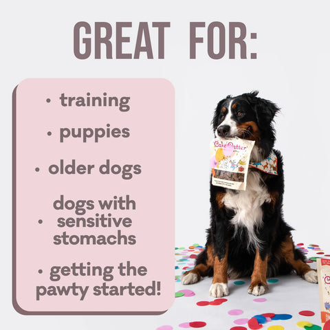 Polkadog Cake Batter Soft & Chewy Dog Treats