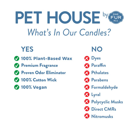 Fresh Citrus Candle | Pet Safe Candle