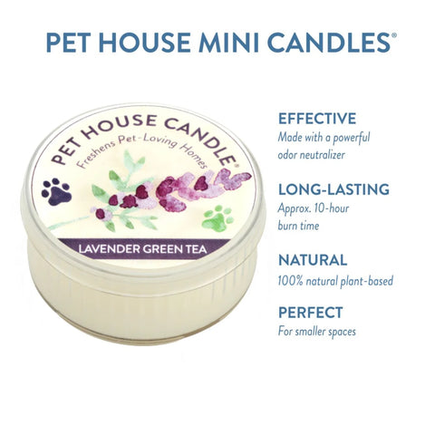 Lavender Green Tea Candle | Pet Safe Candle