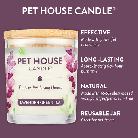 Lavender Green Tea Candle | Pet Safe Candle