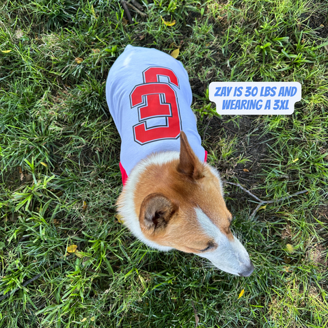 Limited Edition Carl Junction Baseball Dog Tee