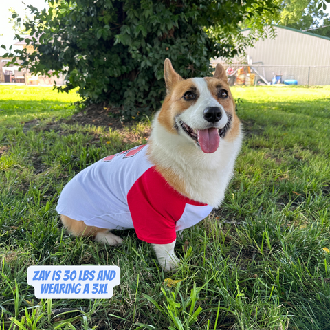 Limited Edition Carl Junction Baseball Dog Tee