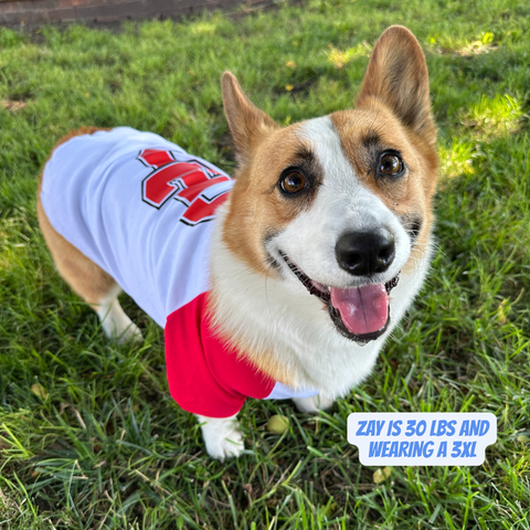 Limited Edition Carl Junction Baseball Dog Tee