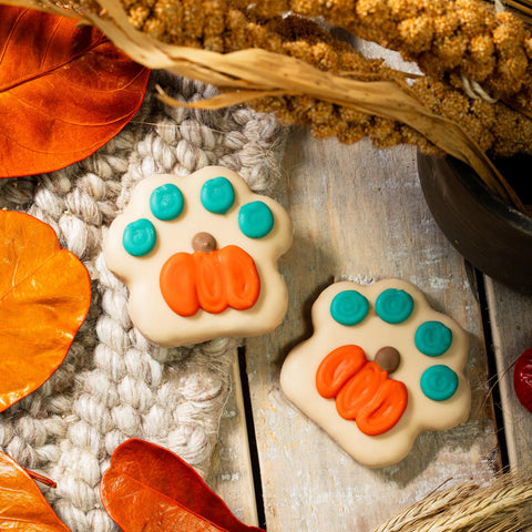 Best Looking Paw in the Patch