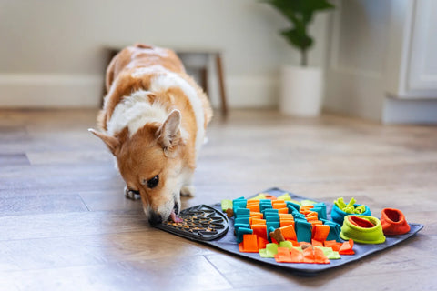 Messy Mutts Square Snuffle Mat plus Lick Mat, 16" x 16"