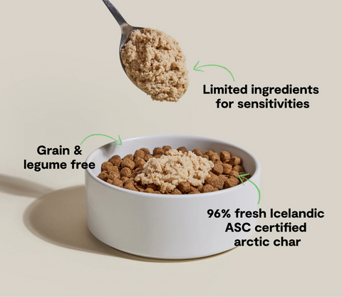 Dog food bowl with pet food, spoonful above, and text about ingredients on a beige background
