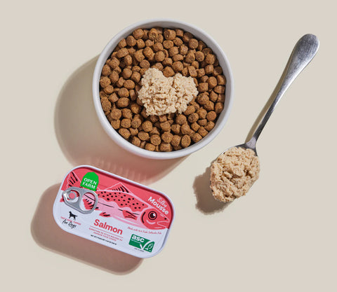 Dog food bowl with kibble, a spoon with kibble, and a can of salmon dog food on a beige background.