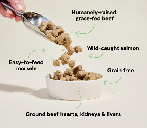 Dog food being poured into a bowl with text highlighting ingredients and qualities.