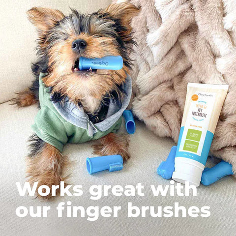 Oxyfresh Pet Toothpaste Kit - 4oz