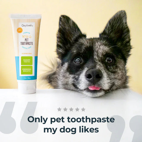 Oxyfresh Pet Toothpaste Kit - 4oz