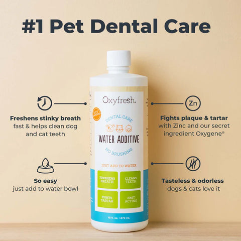 Oxyfresh Pet Dental Water Additive - 16oz