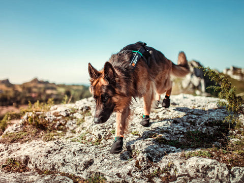 Protector Booties