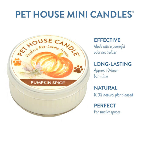 Pumpkin Spice | Pet Safe Candle