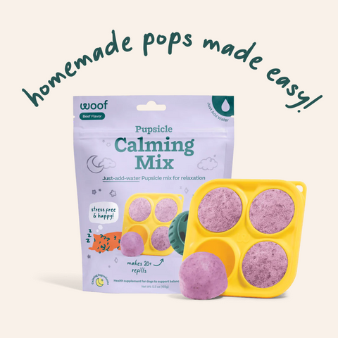 Pupsicle Treat Mix - Calming Support