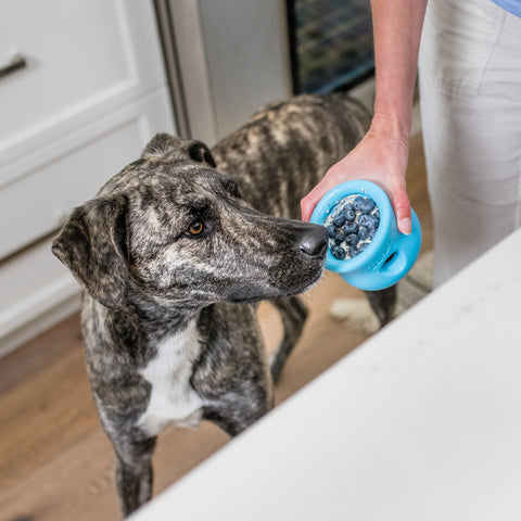 West Paw Toppl: Aqua Blue