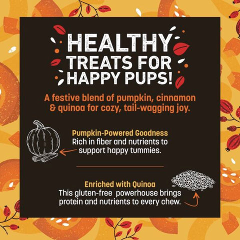 Wisdom Air Dried Jerky - Pumpkin Spice