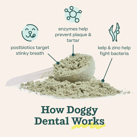 Pupsicle Dental Mix