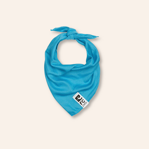 Zephyr Dog Cooling Bandana