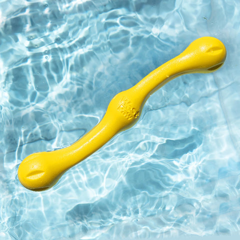 West Paw Zwig Fetch Toy