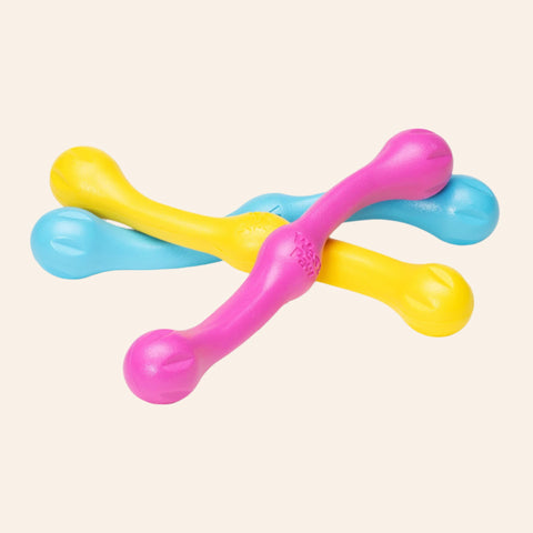 West Paw Zwig Fetch Toy